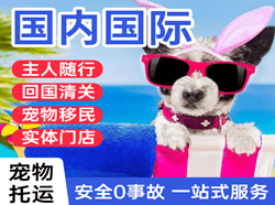 玉树巴塘机场托运国际宠物托运 【国